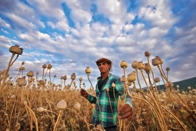 5. TARIM VE İNSAN FOTOĞRAF YARIŞMASI - Belma ARSLAN