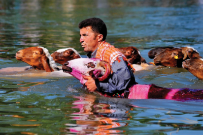 5. TARIM VE İNSAN FOTOĞRAF YARIŞMASI - Belma ARSLAN