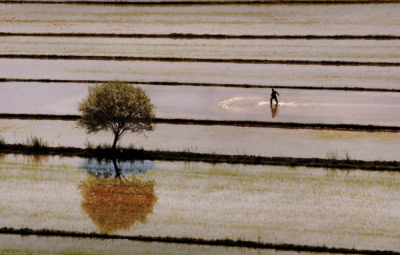 5. TARIM VE İNSAN FOTOĞRAF YARIŞMASI - Bünyamin EREN