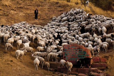 5. TARIM VE İNSAN FOTOĞRAF YARIŞMASI - Emre BOSTANOĞLU