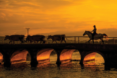 5. TARIM VE İNSAN FOTOĞRAF YARIŞMASI - Ender PEKŞEN 