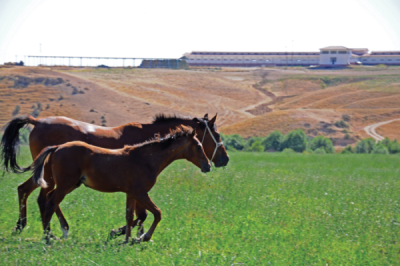 5. TARIM VE İNSAN FOTOĞRAF YARIŞMASI - Fuat YETKİN