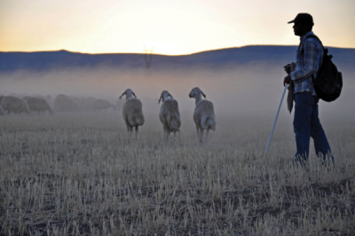 5. TARIM VE İNSAN FOTOĞRAF YARIŞMASI - Fuat YETKİN