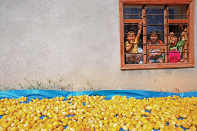 5. TARIM VE İNSAN FOTOĞRAF YARIŞMASI - Güler YETKİN 