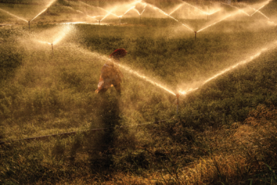 5. TARIM VE İNSAN FOTOĞRAF YARIŞMASI - Hakan ÇÖPLÜ