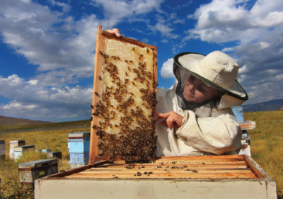 5. TARIM VE İNSAN FOTOĞRAF YARIŞMASI - Hasan AYDIN
