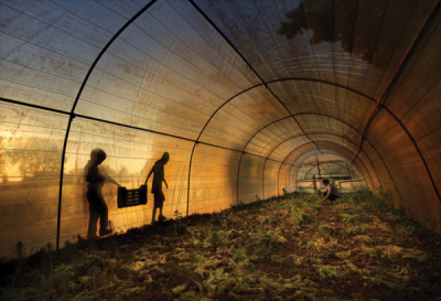 5. TARIM VE İNSAN FOTOĞRAF YARIŞMASI - Hasan ZER