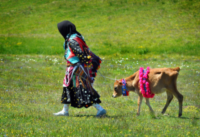 6. TARIM VE İNSAN FOTOĞRAF YARIŞMASI - Sabri ALTUN