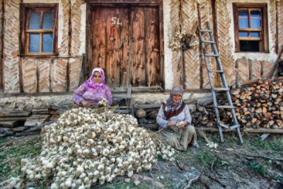 6. TARIM VE İNSAN FOTOĞRAF YARIŞMASI - Zeki YAVUZAK