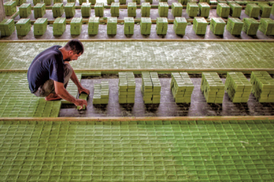 6. TARIM VE İNSAN FOTOĞRAF YARIŞMASI - Yakup YENER