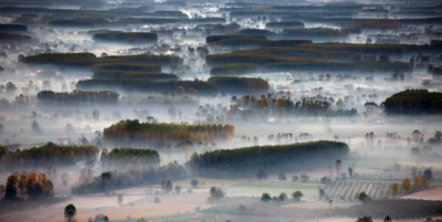 6. TARIM VE İNSAN FOTOĞRAF YARIŞMASI - Sare KURAL