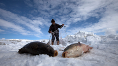 6. TARIM VE İNSAN FOTOĞRAF YARIŞMASI - Çetin ALLILIÇ