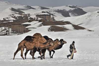 6. TARIM VE İNSAN FOTOĞRAF YARIŞMASI - Ahmet Fatih DÖNMEZ
