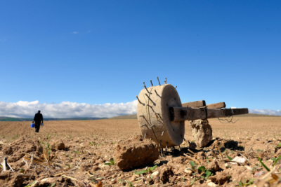 6. TARIM VE İNSAN FOTOĞRAF YARIŞMASI - Battal Gazi BARLAS