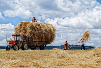 6. TARIM VE İNSAN FOTOĞRAF YARIŞMASI - Battal Gazi BARLAS