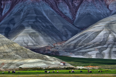 6. TARIM VE İNSAN FOTOĞRAF YARIŞMASI - Kadir Remzi ERTEN