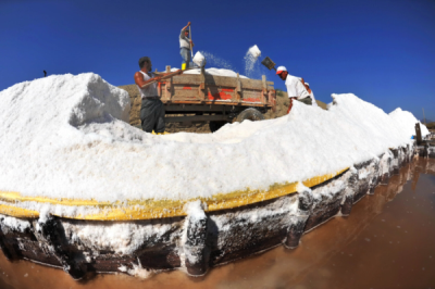 6. TARIM VE İNSAN FOTOĞRAF YARIŞMASI - Kadir Remzi ERTEN