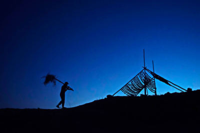 6. TARIM VE İNSAN FOTOĞRAF YARIŞMASI - Kahraman BEKCİLİ