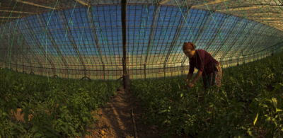 6. TARIM VE İNSAN FOTOĞRAF YARIŞMASI - Kemal ÖZKILIÇ