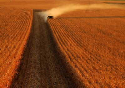 6. TARIM VE İNSAN FOTOĞRAF YARIŞMASI - Mahmut KARACA