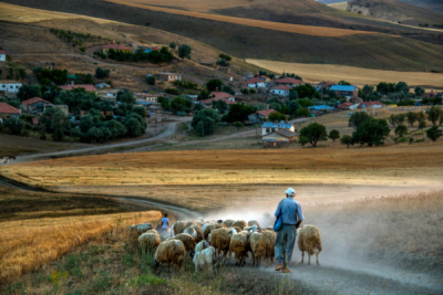 6. TARIM VE İNSAN FOTOĞRAF YARIŞMASI - Mahmut KARACA