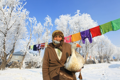 6. TARIM VE İNSAN FOTOĞRAF YARIŞMASI - Mehmet Mukadder YARDIMCIEL