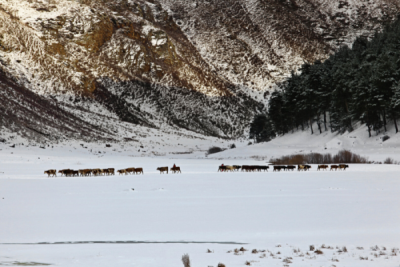 6. TARIM VE İNSAN FOTOĞRAF YARIŞMASI - Mehmet Mukadder YARDIMCIEL