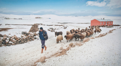 6. TARIM VE İNSAN FOTOĞRAF YARIŞMASI - Mehmet Serhat GÜRSOY