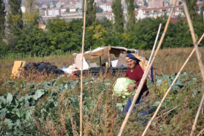 6. TARIM VE İNSAN FOTOĞRAF YARIŞMASI - Mert OLCAY