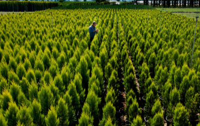 6. TARIM VE İNSAN FOTOĞRAF YARIŞMASI - Murat IŞIK