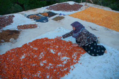 6. TARIM VE İNSAN FOTOĞRAF YARIŞMASI - Murat YETGİN