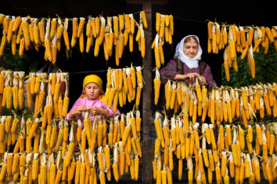 6. TARIM VE İNSAN FOTOĞRAF YARIŞMASI - Mustafa ZENGİN