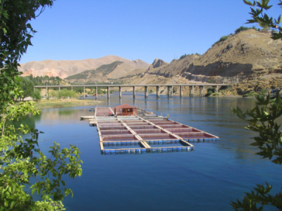 6. TARIM VE İNSAN FOTOĞRAF YARIŞMASI - Mücahit YÜNGÜL