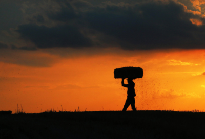 6. TARIM VE İNSAN FOTOĞRAF YARIŞMASI - Nehir AĞIRSEVEN