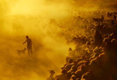 6. TARIM VE İNSAN FOTOĞRAF YARIŞMASI - Özkan OLCAY