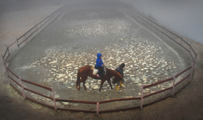 6. TARIM VE İNSAN FOTOĞRAF YARIŞMASI - Sabri ALTUN