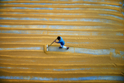 6. TARIM VE İNSAN FOTOĞRAF YARIŞMASI - Sare KURAL