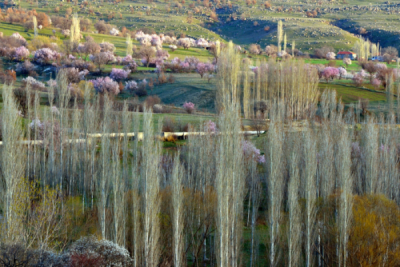 6. TARIM VE İNSAN FOTOĞRAF YARIŞMASI - Serdar ŞEKER