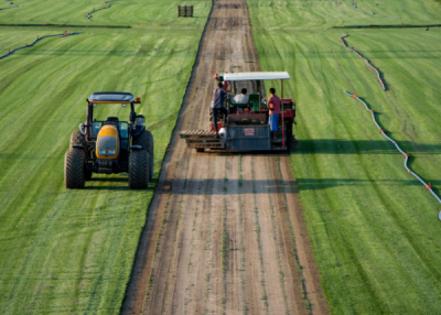 6. TARIM VE İNSAN FOTOĞRAF YARIŞMASI - Serdaç NURTAN