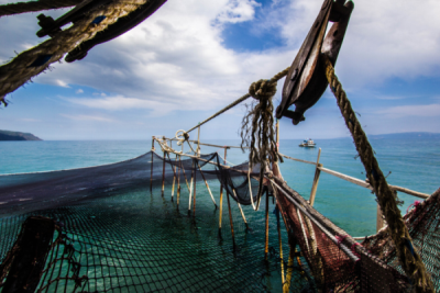 6. TARIM VE İNSAN FOTOĞRAF YARIŞMASI - Sezer ÖZÇELİK