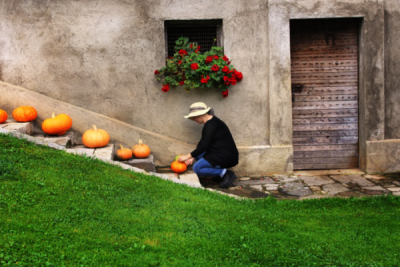 6. TARIM VE İNSAN FOTOĞRAF YARIŞMASI - Sıdıka AKBULUT 