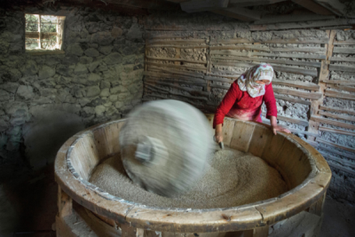 6. TARIM VE İNSAN FOTOĞRAF YARIŞMASI - Şaziye YARALI 