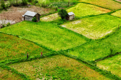 6. TARIM VE İNSAN FOTOĞRAF YARIŞMASI - Şaziye YARALI 