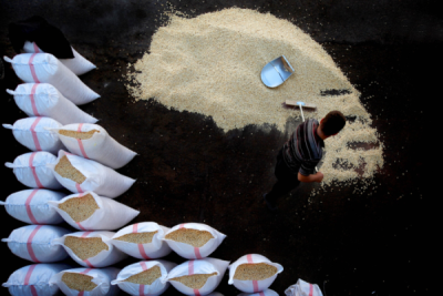 6. TARIM VE İNSAN FOTOĞRAF YARIŞMASI - Tacettin YÜKSEL