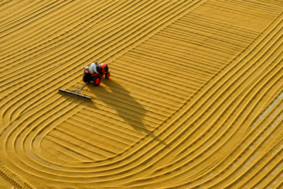 6. TARIM VE İNSAN FOTOĞRAF YARIŞMASI - Yakup YENER