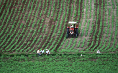 6. TARIM VE İNSAN FOTOĞRAF YARIŞMASI - Yavuz YAMAN