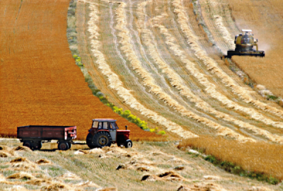 6. TARIM VE İNSAN FOTOĞRAF YARIŞMASI - Yavuz YAMAN