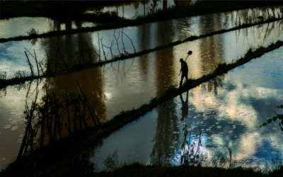 6. TARIM VE İNSAN FOTOĞRAF YARIŞMASI - Yılmaz TOPÇU
