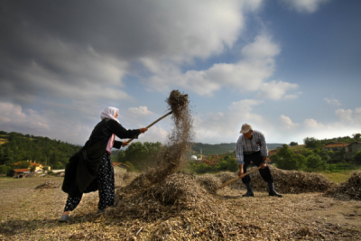 6. TARIM VE İNSAN FOTOĞRAF YARIŞMASI - Yunus USLU