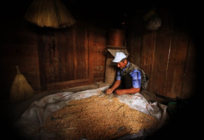 6. TARIM VE İNSAN FOTOĞRAF YARIŞMASI - Yunus USLU